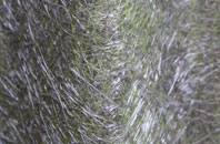 Bow Street fibreglass roof work